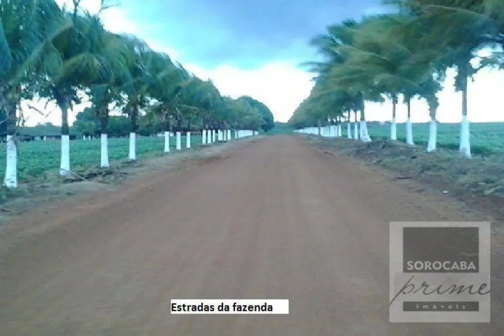 Fazenda, 33000 hectares - Foto 1