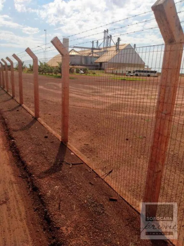 Fazenda, 33000 hectares - Foto 4