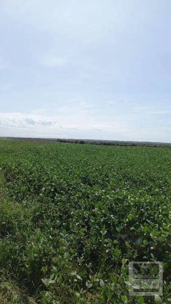 Fazenda, 17500 hectares - Foto 3