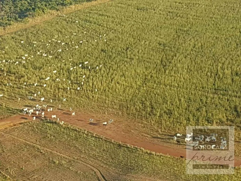 Fazenda, 17500 hectares - Foto 1