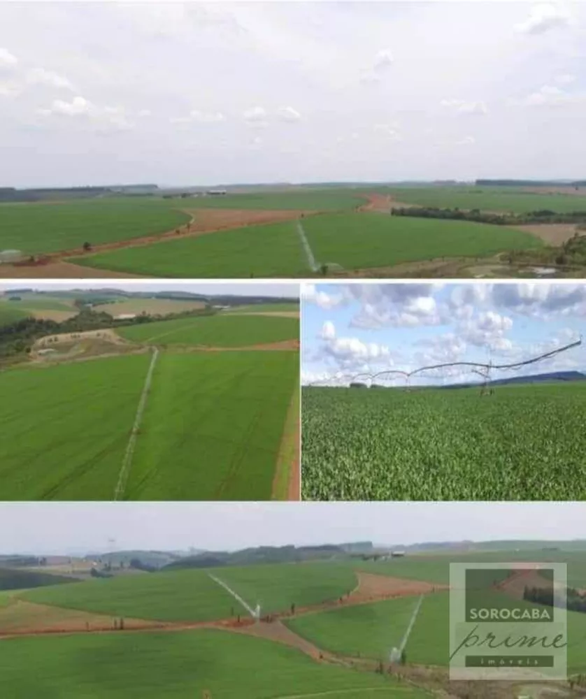 Fazenda, 3642 hectares - Foto 3