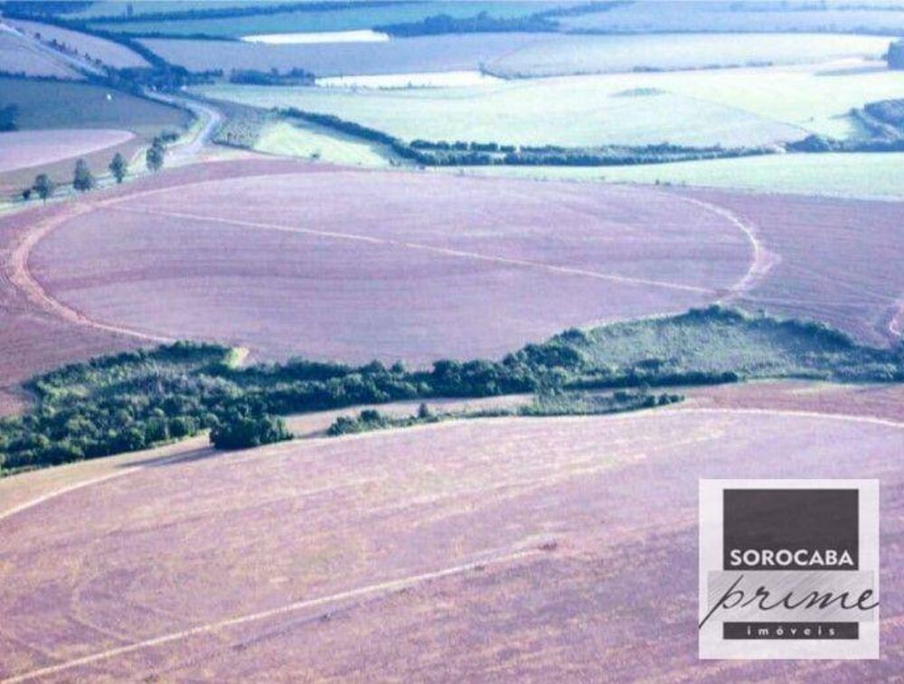 Fazenda, 3636 hectares - Foto 8