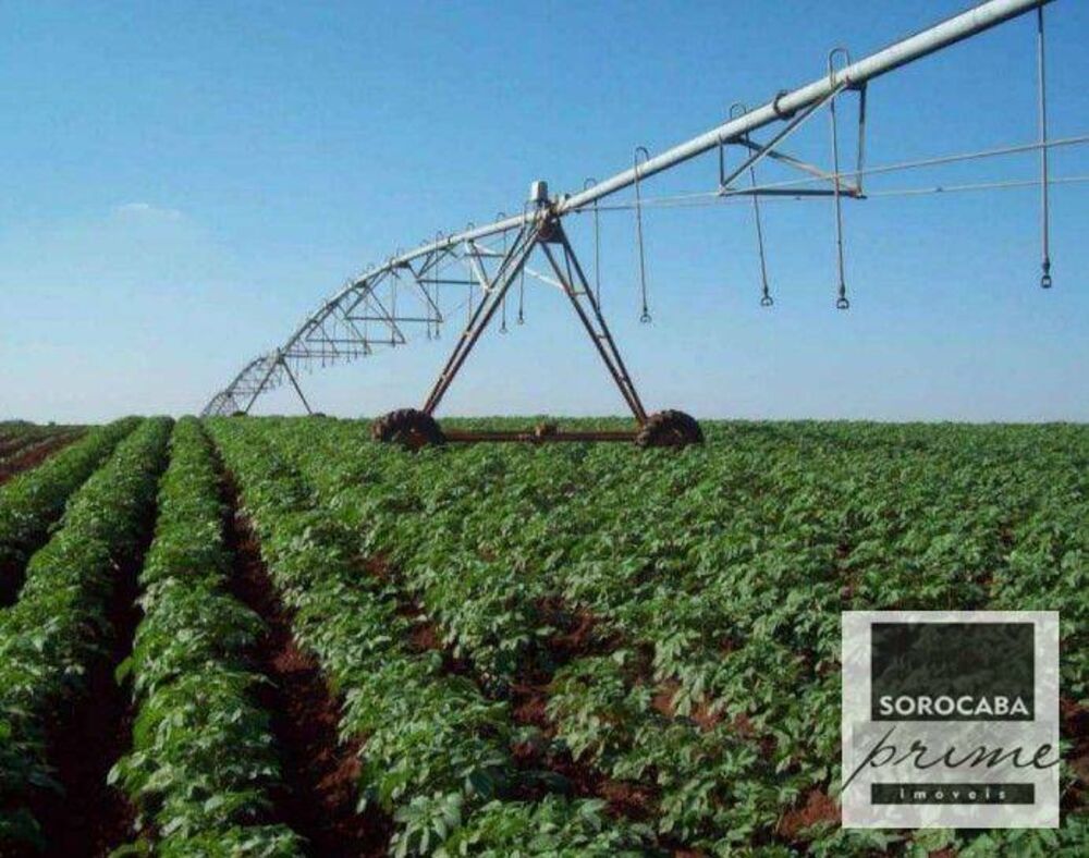 Fazenda, 3636 hectares - Foto 7