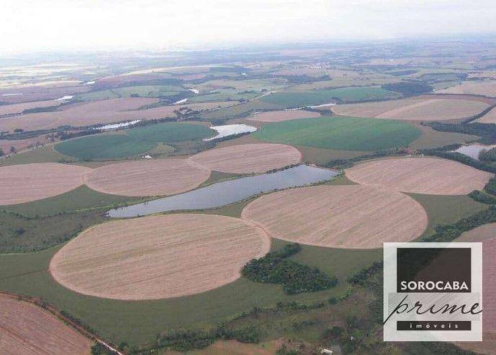 Fazenda, 3636 hectares - Foto 3