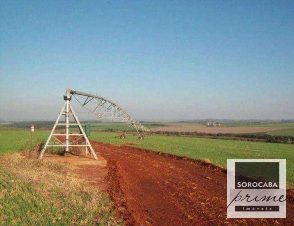 Fazenda, 3636 hectares - Foto 6