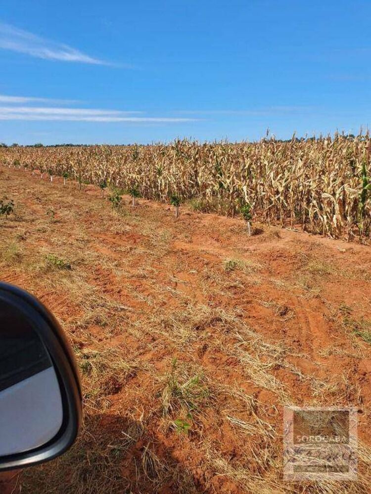 Fazenda, 324 hectares - Foto 7