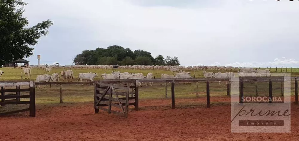 Fazenda, 324 hectares - Foto 2