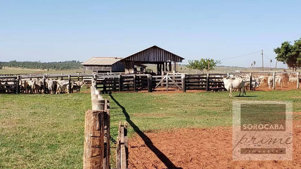 Fazenda, 324 hectares - Foto 3