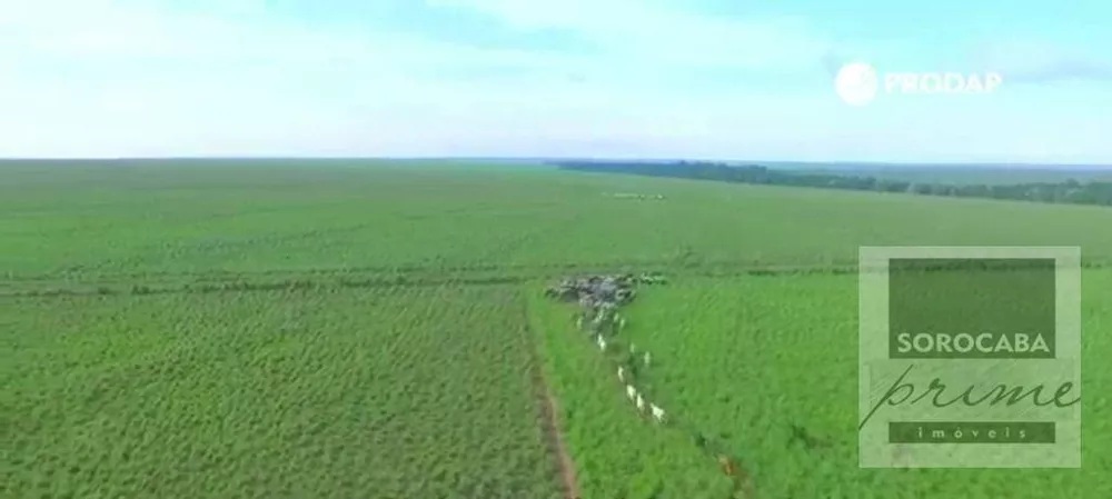 Fazenda, 89000 hectares - Foto 4