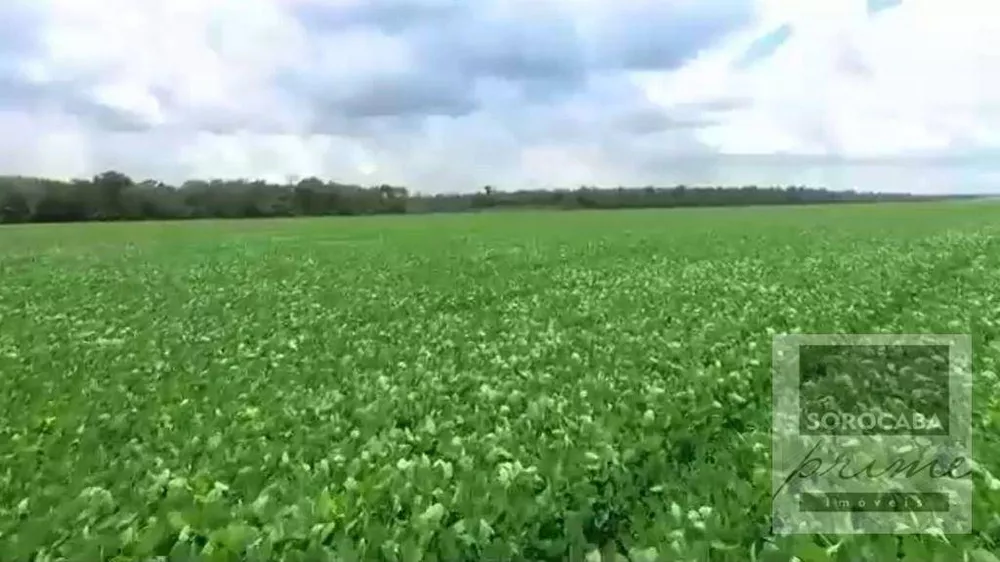 Fazenda, 89000 hectares - Foto 3