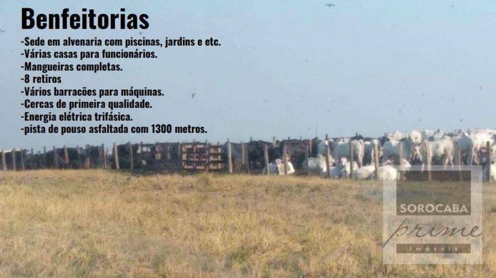 Fazenda-Sítio-Chácara, 78000 hectares - Foto 6