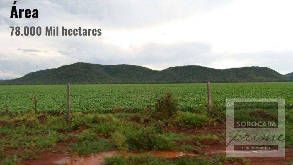 Fazenda-Sítio-Chácara, 78000 hectares - Foto 10