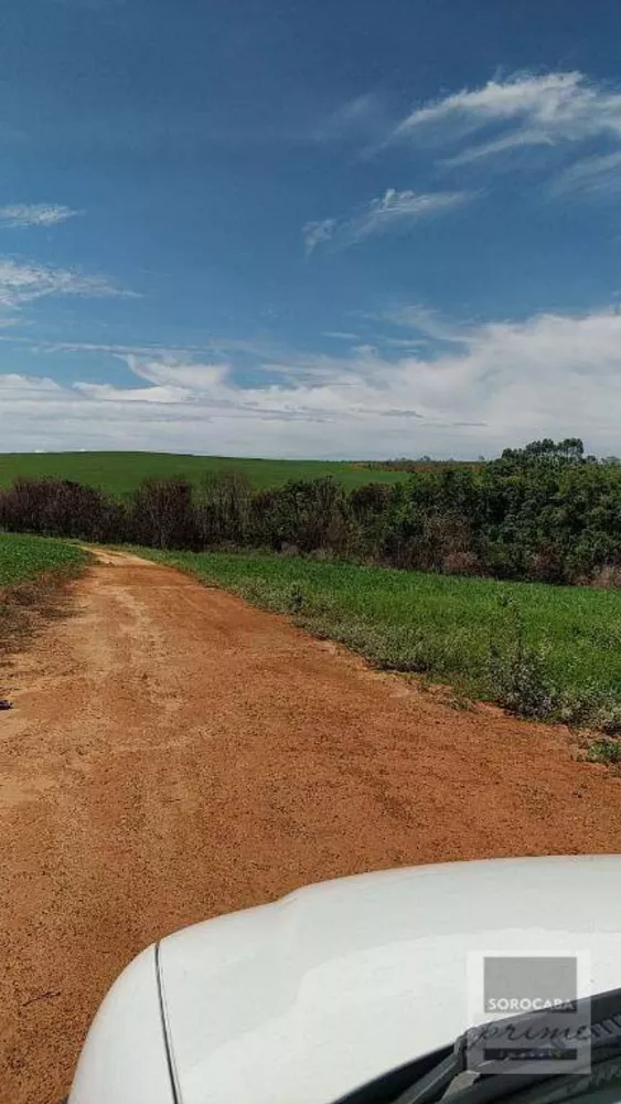 Fazenda, 1021 hectares - Foto 7