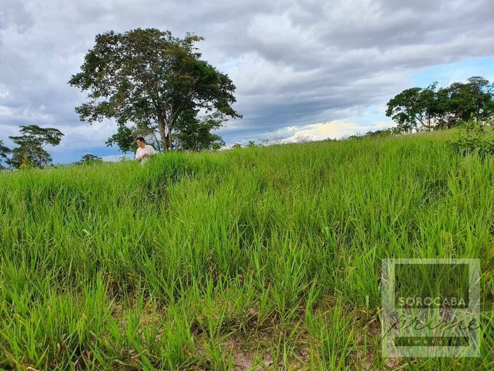 Fazenda, 1021 hectares - Foto 2