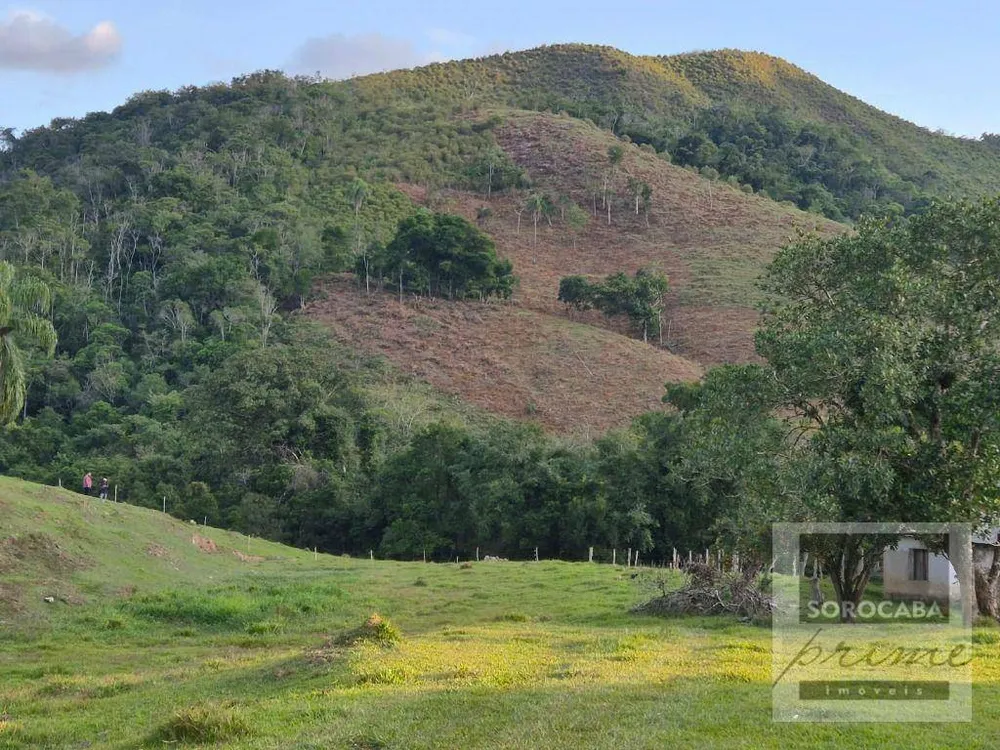 Fazenda, 201 hectares - Foto 4