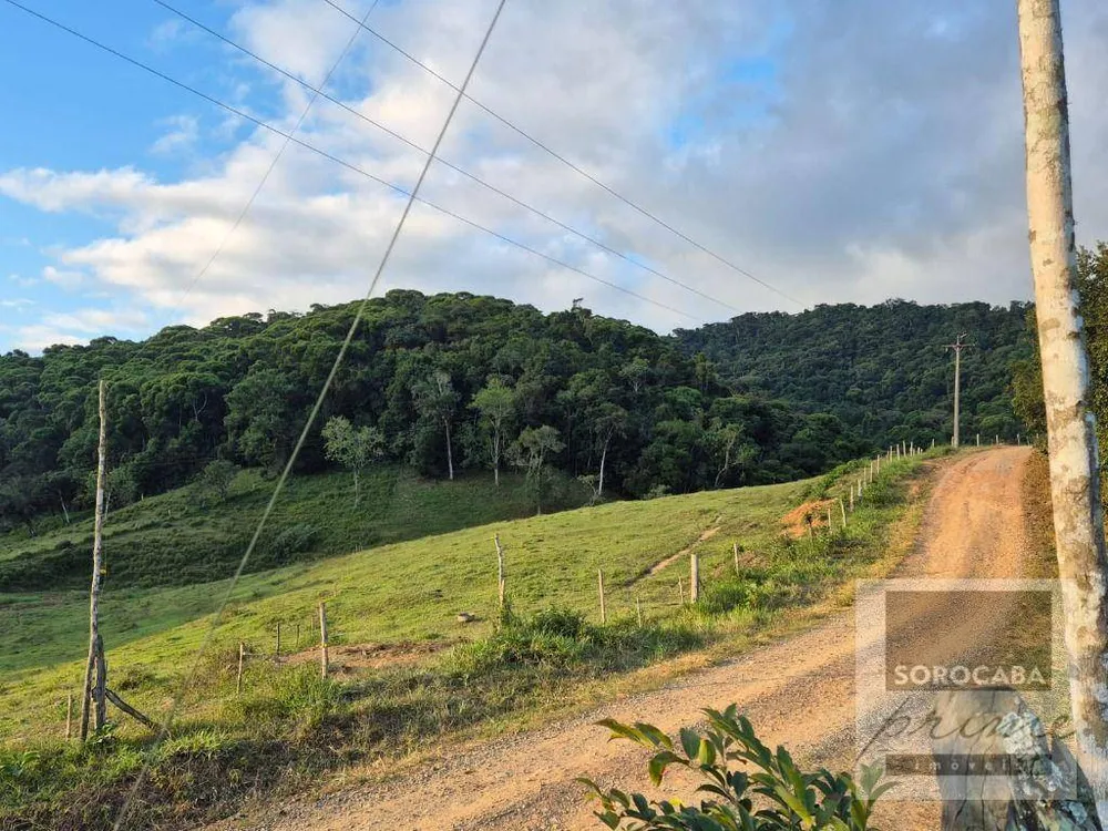 Fazenda, 201 hectares - Foto 1