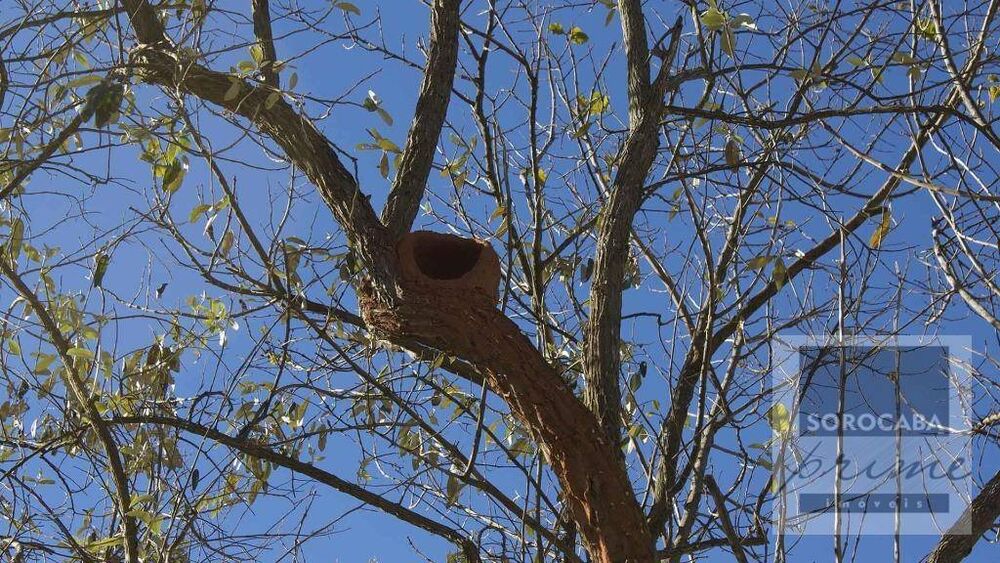 Casa de Condomínio, 4 quartos - Foto 16