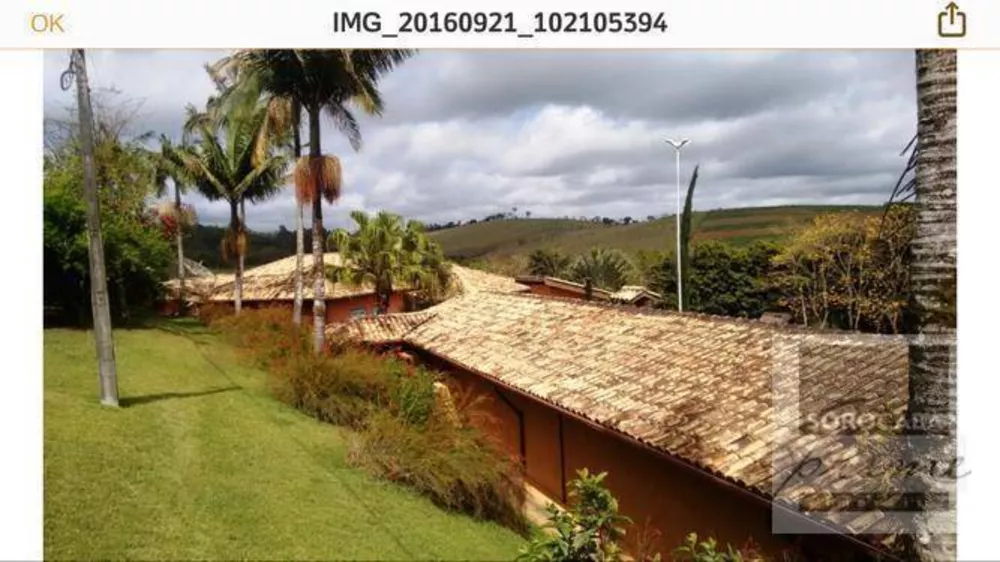 Fazenda, 99 hectares - Foto 8