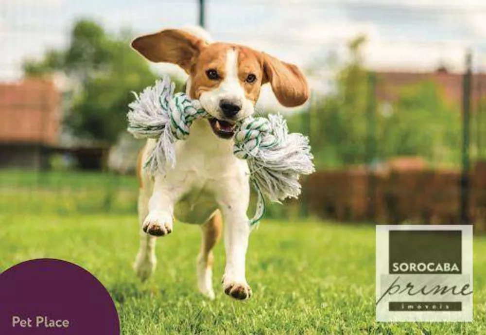 Apartamento, 2 quartos, 64 m² - Foto 6