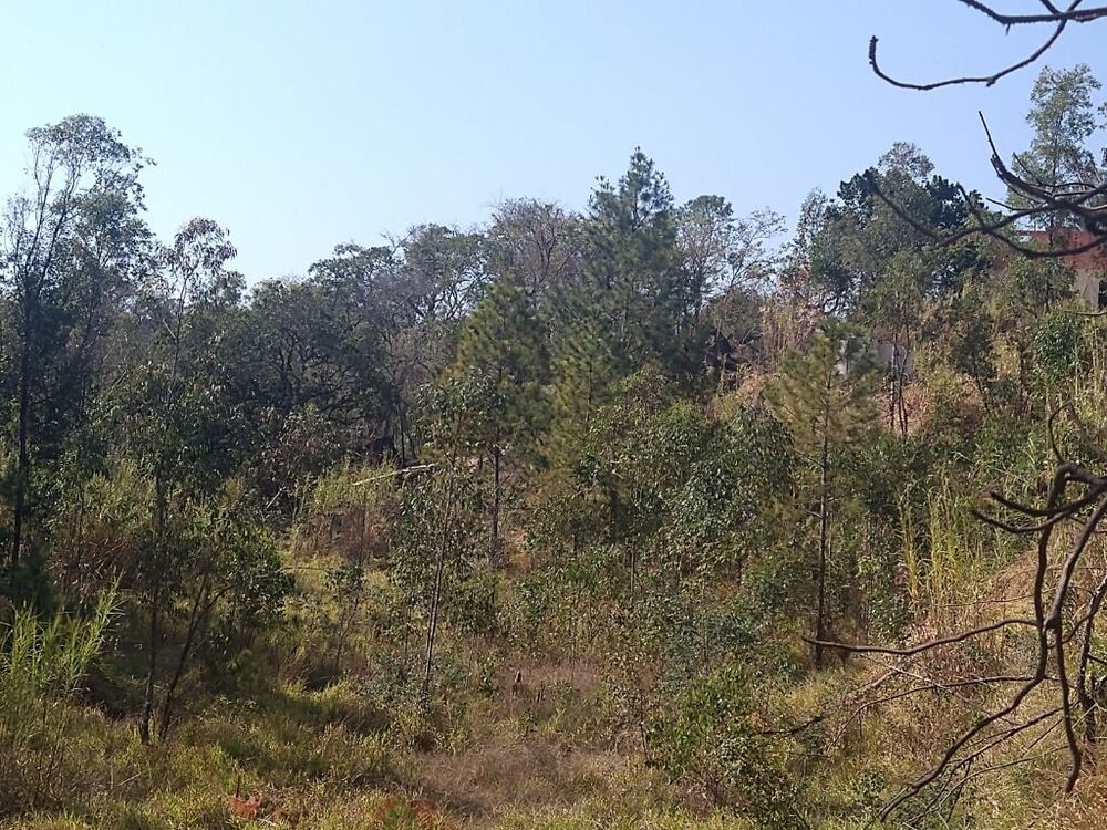 Terreno, 9400 m² - Foto 5