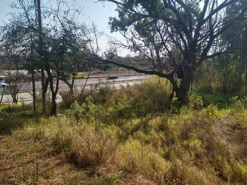 Terreno, 9400 m² - Foto 4