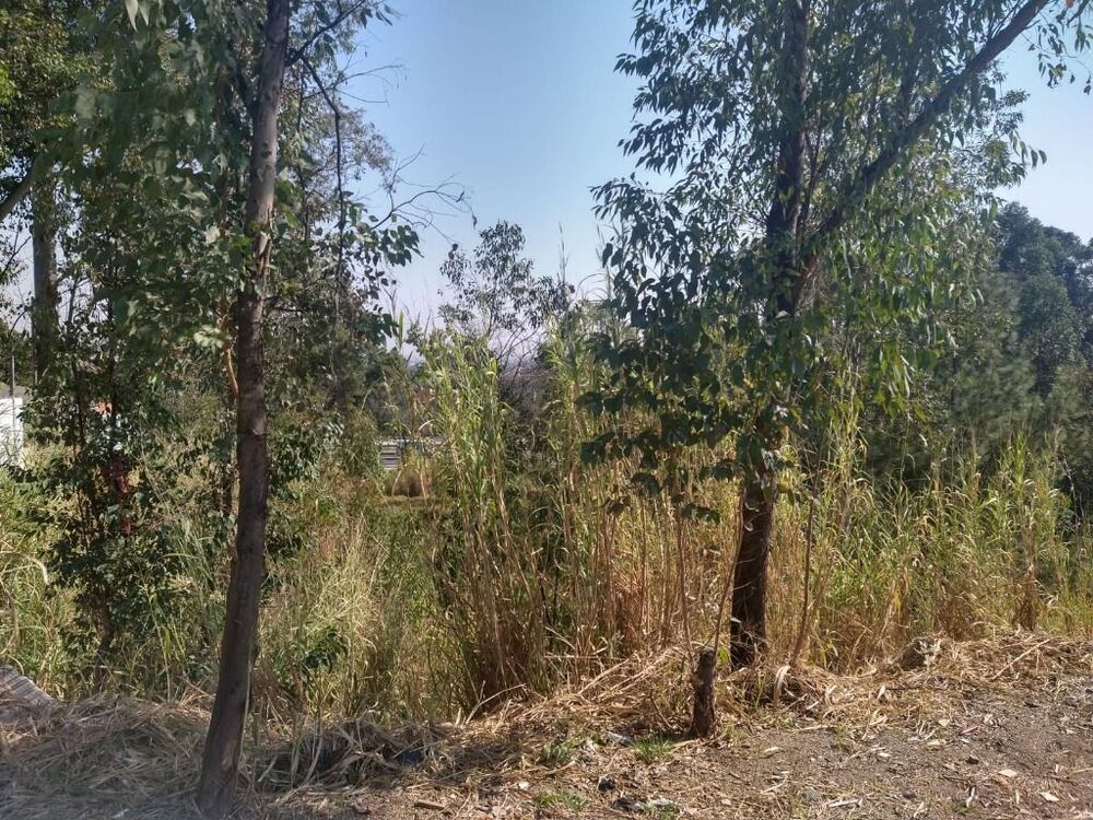 Terreno, 9400 m² - Foto 8