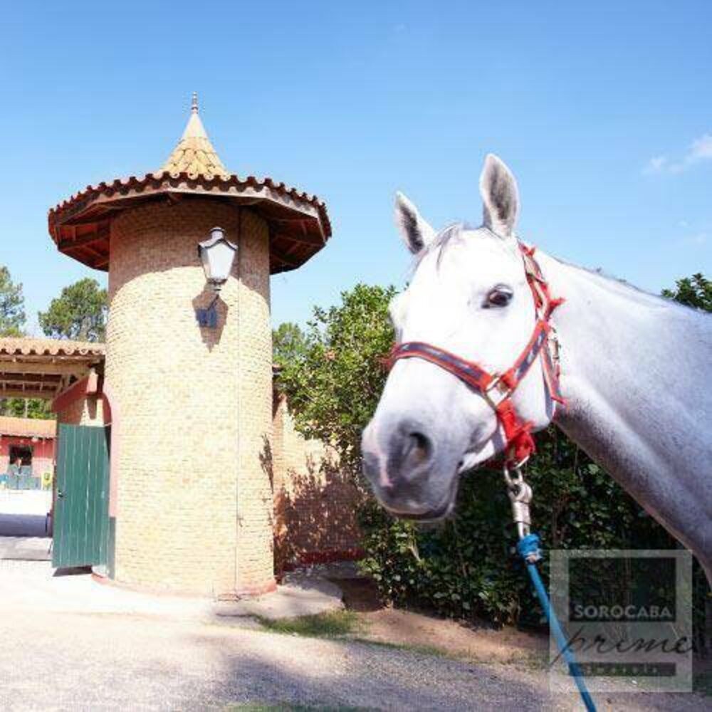 Casa de Condomínio, 5 quartos - Foto 5