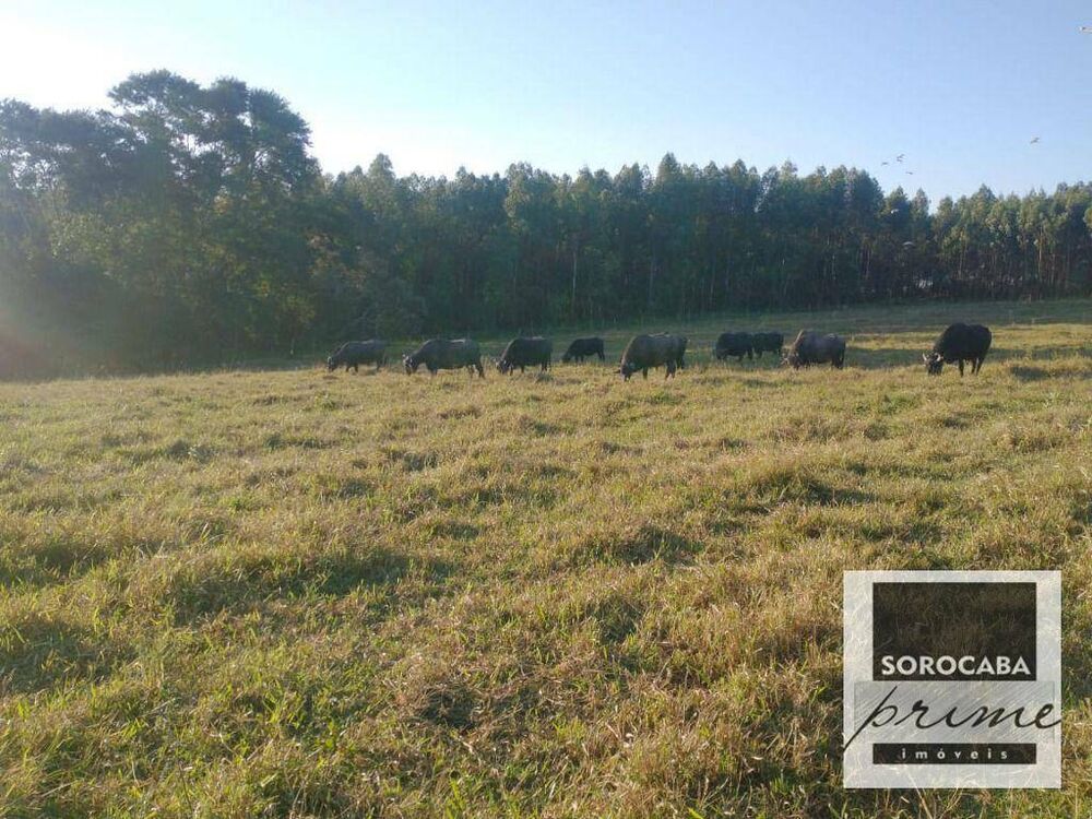 Fazenda, 27 hectares - Foto 6