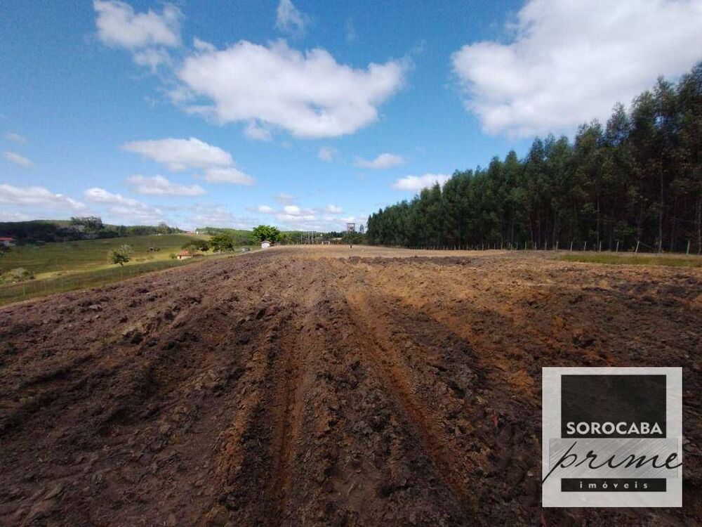 Fazenda, 27 hectares - Foto 11