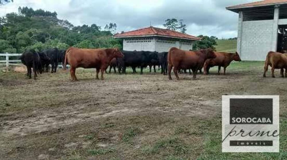 Fazenda, 27 hectares - Foto 2