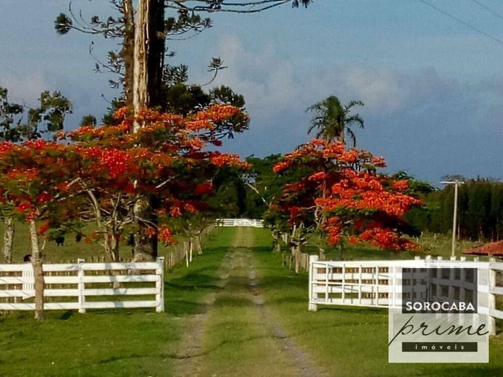 Fazenda, 27 hectares - Foto 18
