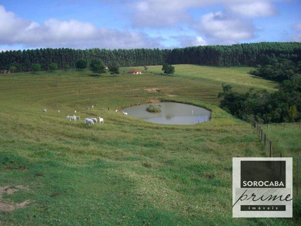 Fazenda, 27 hectares - Foto 10