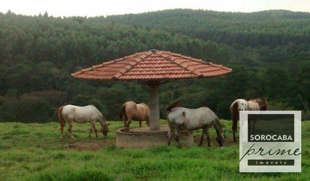 Fazenda, 27 hectares - Foto 3