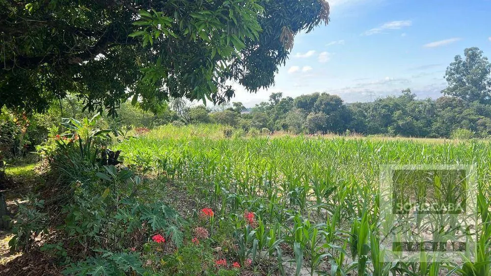 Terreno, 3 hectares - Foto 4