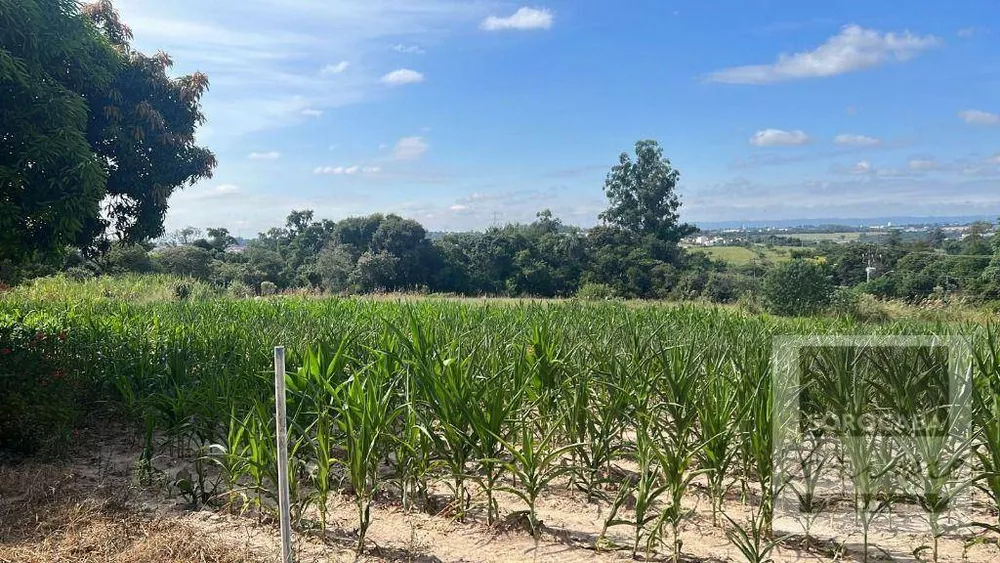 Terreno, 3 hectares - Foto 3