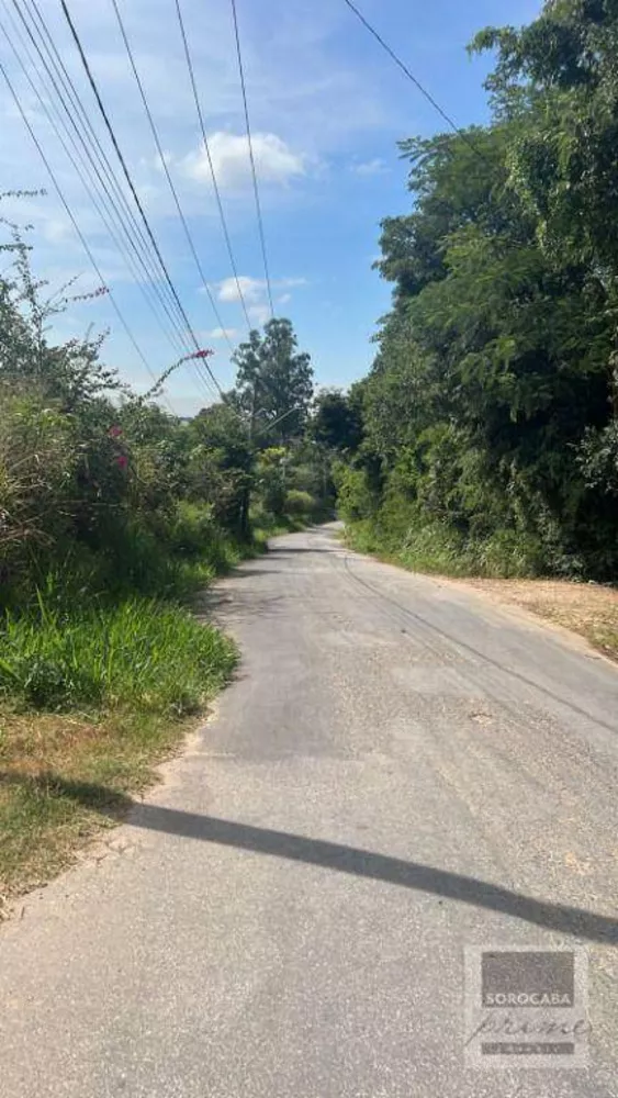 Terreno, 3 hectares - Foto 2