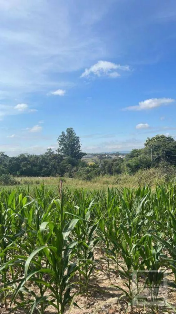 Terreno, 3 hectares - Foto 1