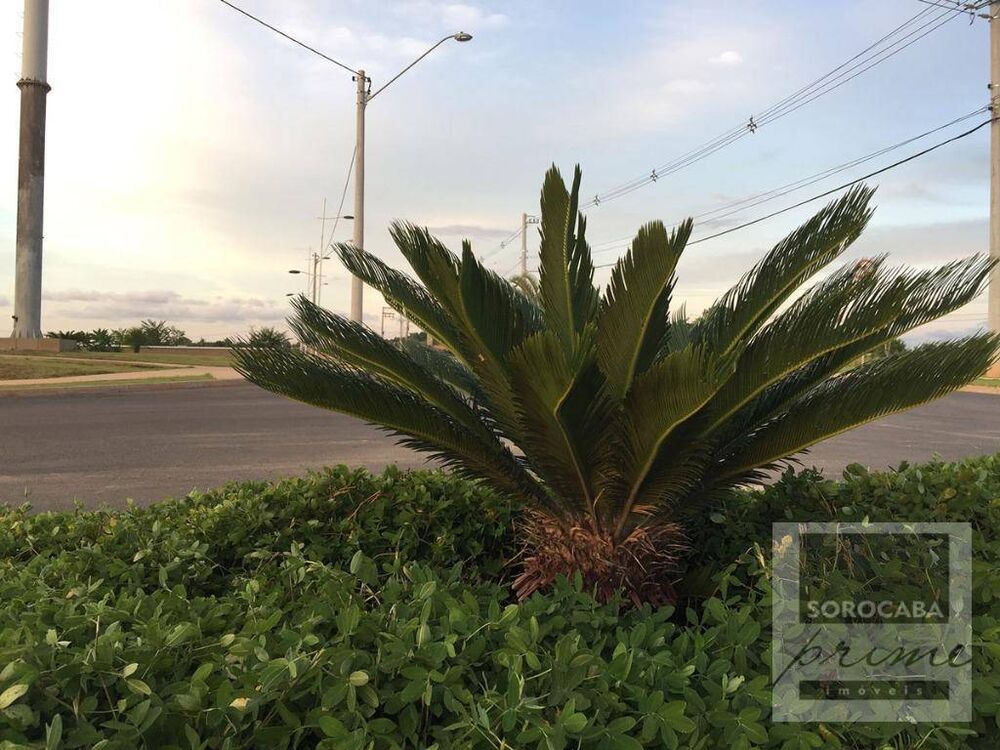 Terreno, 250 m² - Foto 5