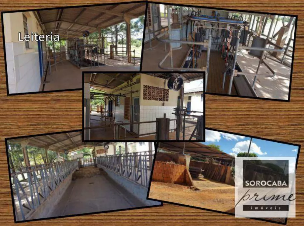 Fazenda, 629 hectares - Foto 4