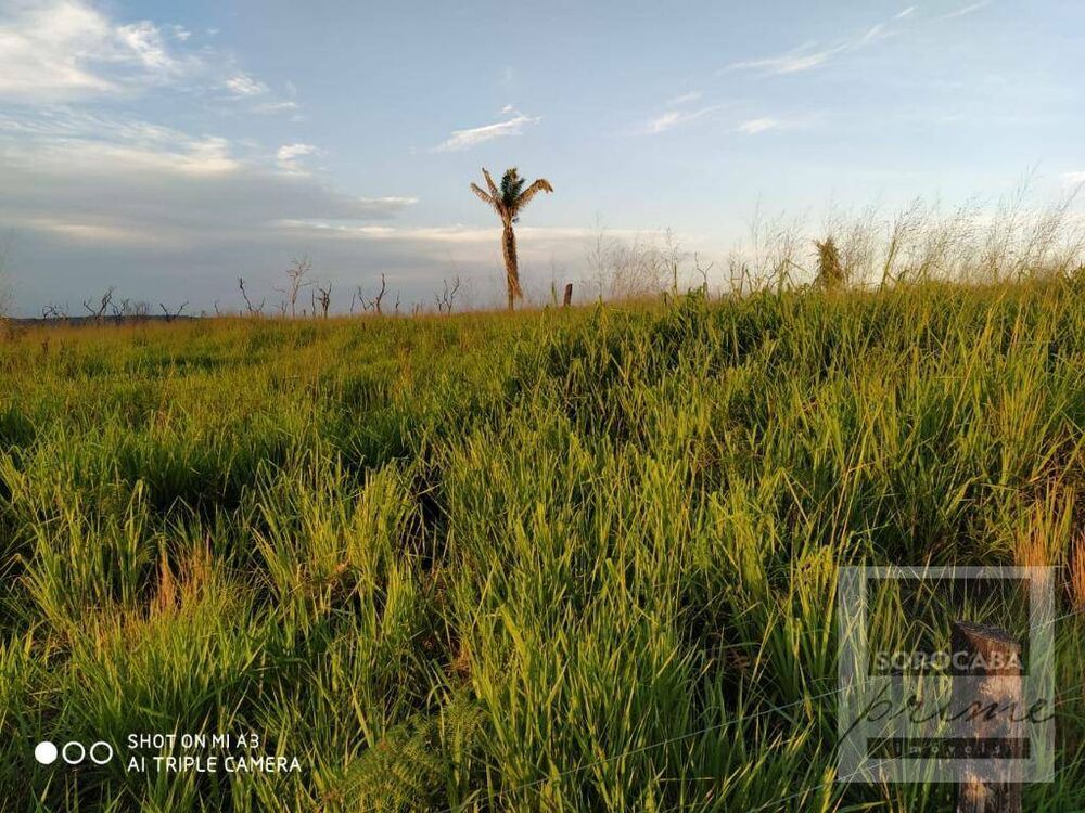 Fazenda, 4356 hectares - Foto 2