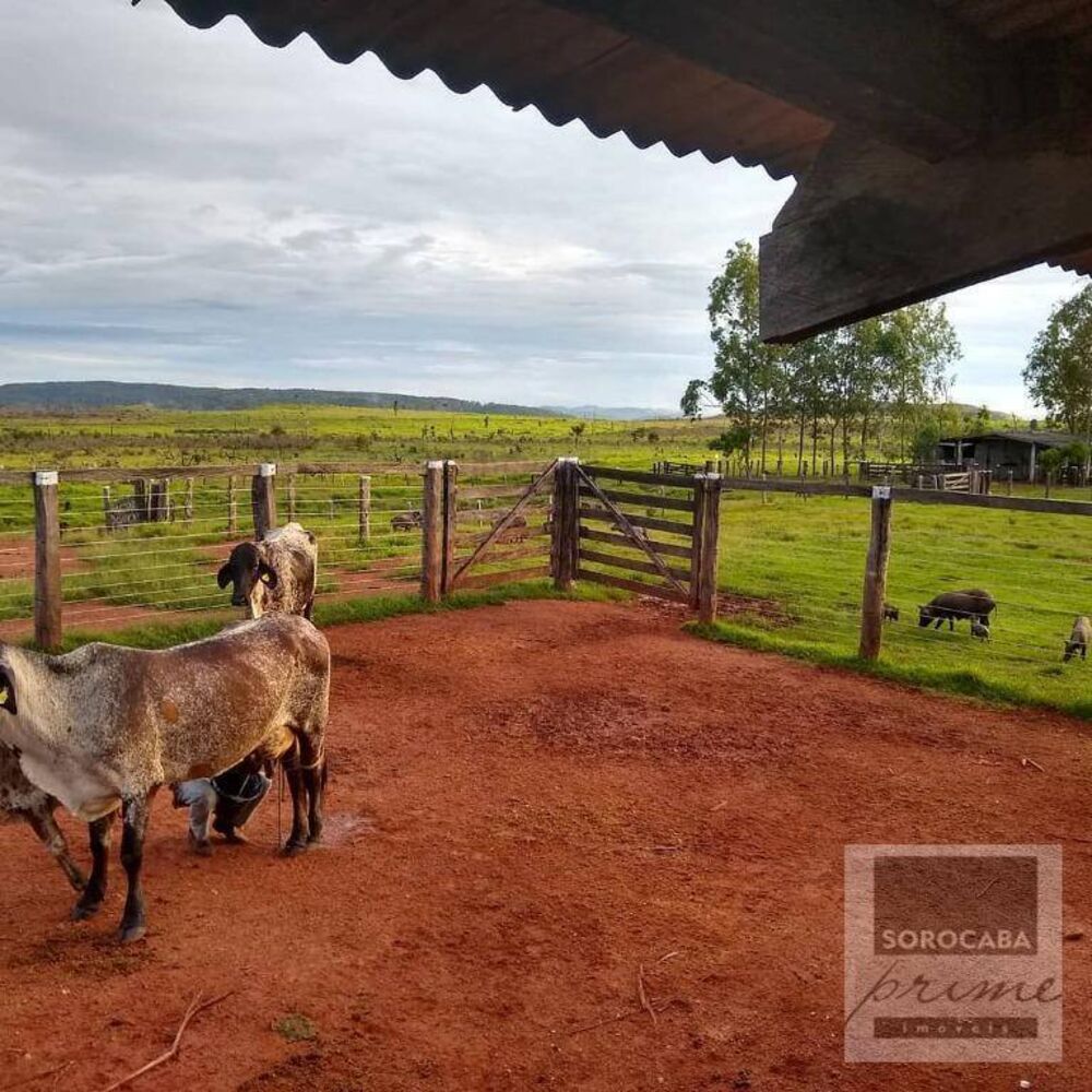 Fazenda, 4356 hectares - Foto 3