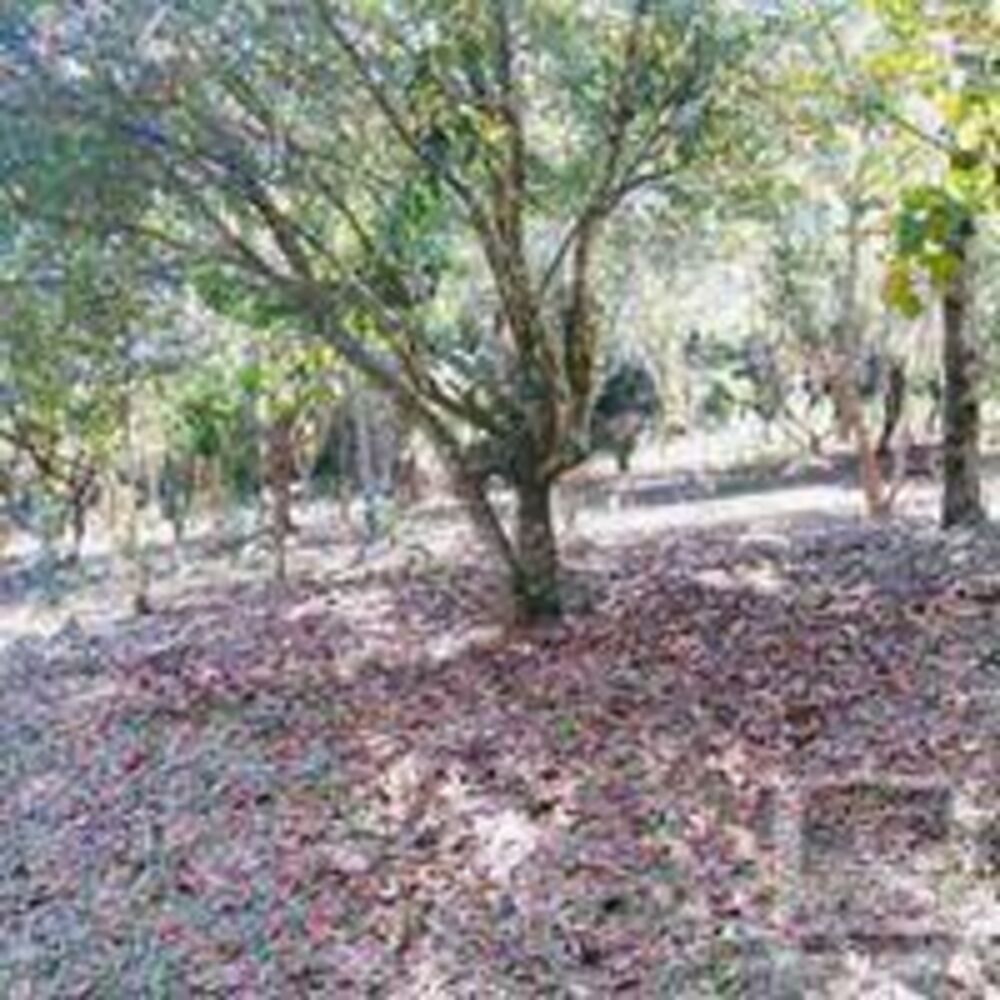 Loteamento e Condomínio, 1000 m² - Foto 5