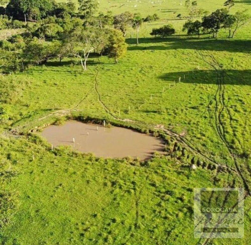 Fazenda, 605 hectares - Foto 7
