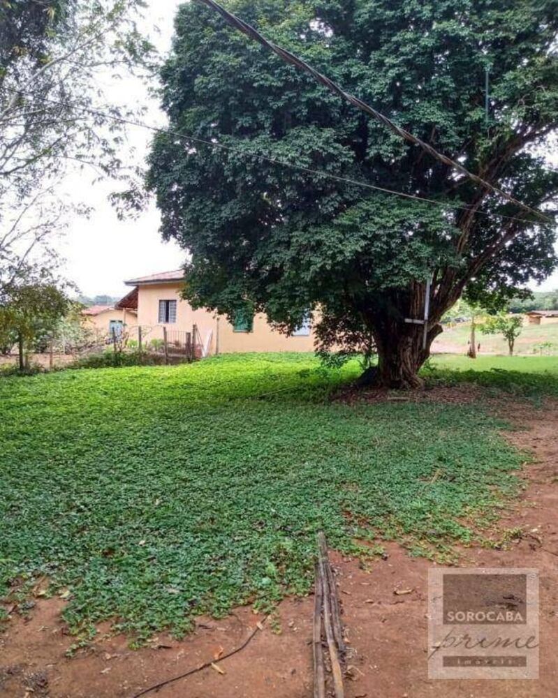 Fazenda, 1317 hectares - Foto 2