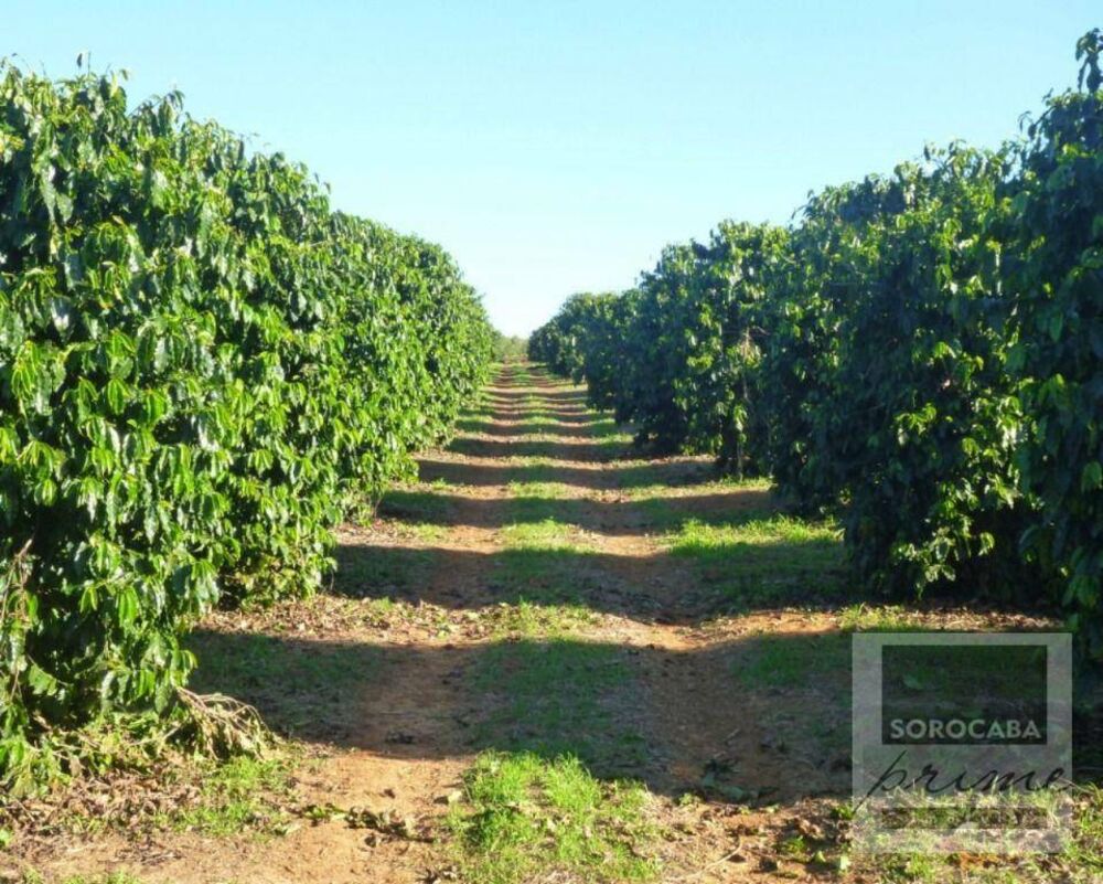 Fazenda, 1317 hectares - Foto 4
