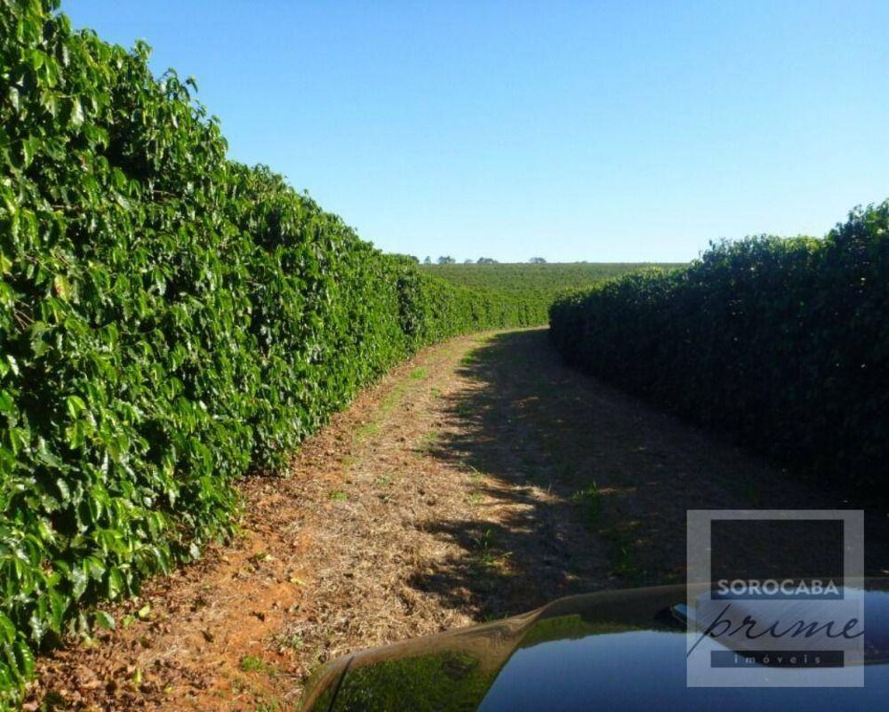 Fazenda, 1317 hectares - Foto 3