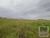Terreno, 10 hectares - Foto 3