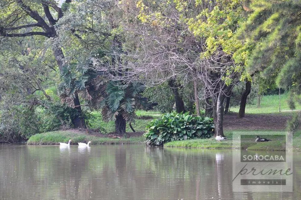 Sobrado, 4 quartos, 560 m² - Foto 5