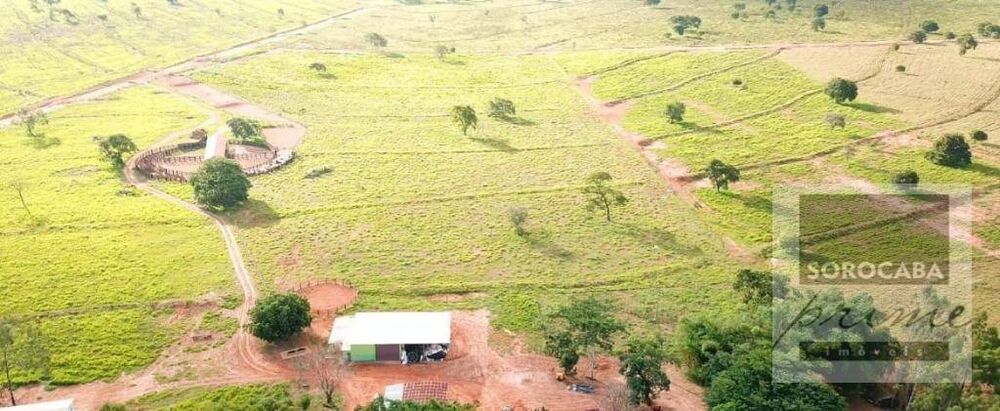 Fazenda, 4722 hectares - Foto 6