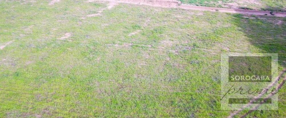 Fazenda, 4722 hectares - Foto 7